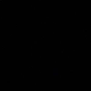 Meet your Posher, Sydni